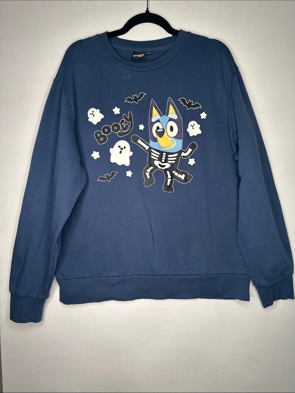 Blue unisex size Large Bluey Sweatshirt with halloween theme